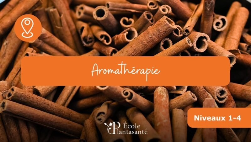 Formation Aromathérapie (Niveaux 1 à 4)