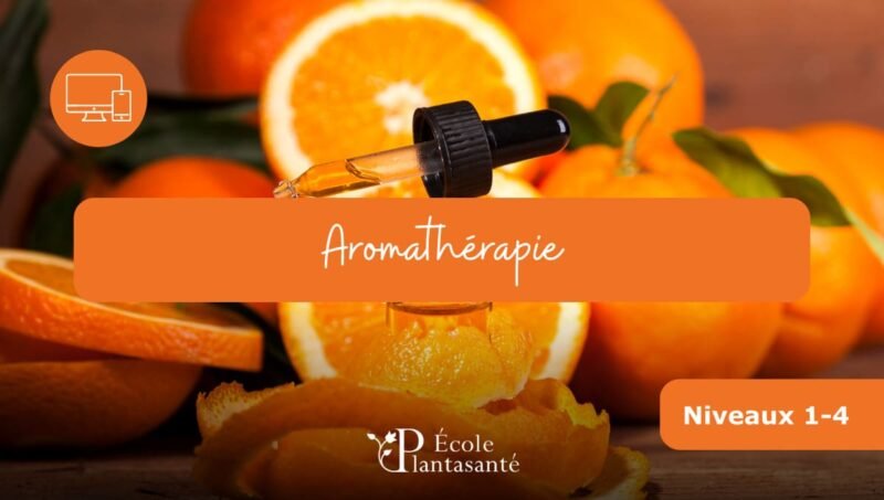 Formation Aromathérapie à Distance (Niveaux 1 à 4)