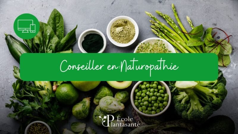 Formation Conseiller en Naturopathie à Distance