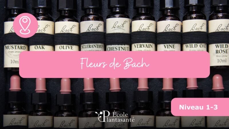Formation Fleurs de Bach (Niveaux 1 à 3)