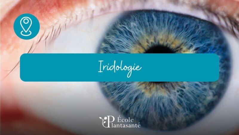 Formation en Iridologie