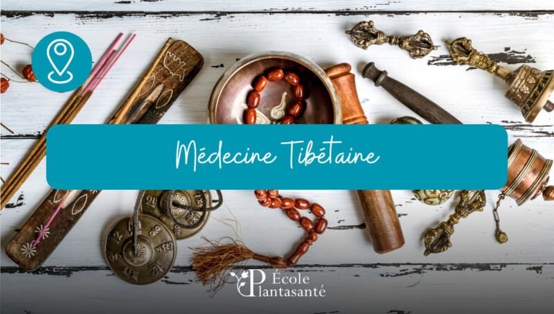 Formation Médecine Tibétaine
