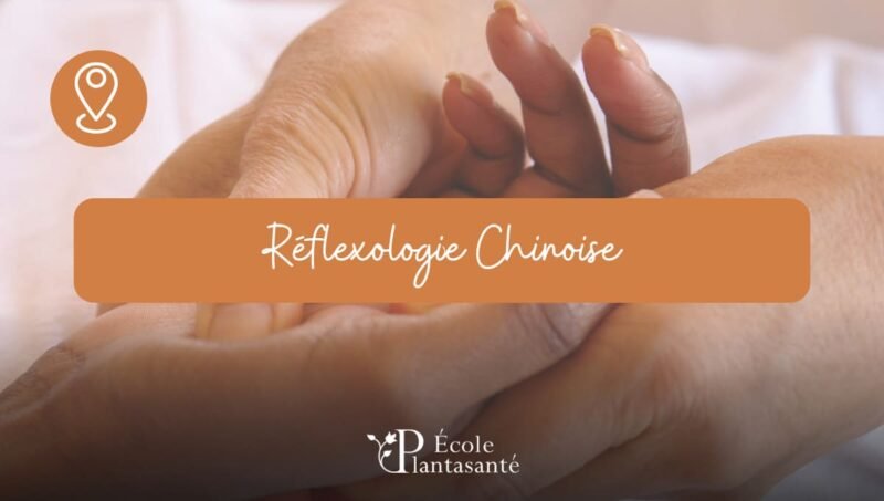 Formation Réflexologie Chinoise