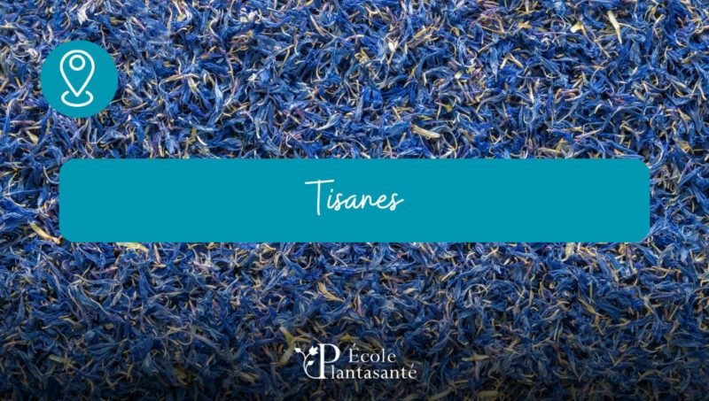 Formation Tisane