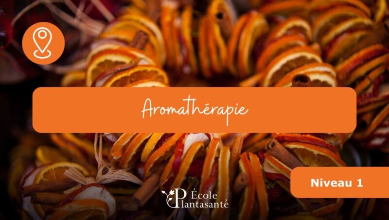 Stage d’Aromathérapie (Niveau 1)