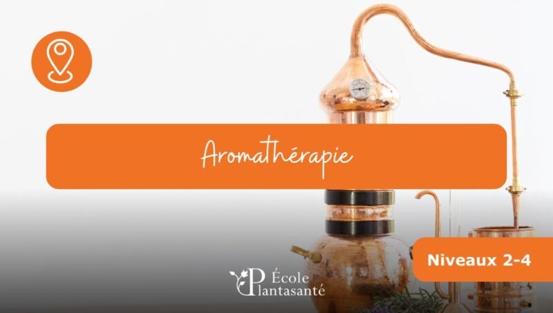 Stage d’Aromathérapie (Niveaux 2 à 4)