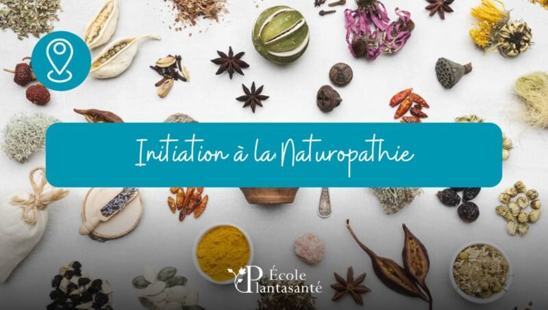 Stage de Naturopathie (Initiation)