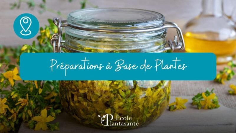 Formation Préparations à Base de Plantes