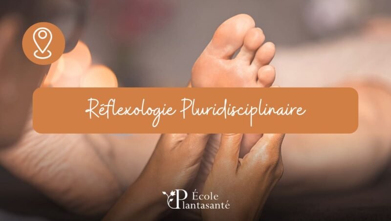 Formation Réflexologie Pluridisciplinaire