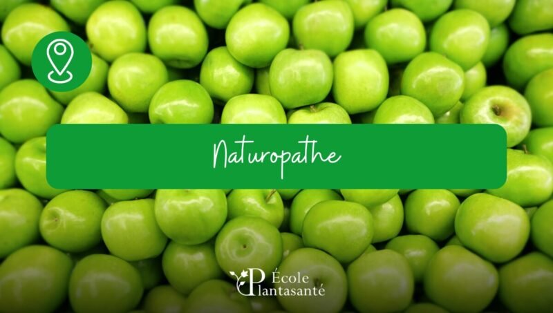 Formation Naturopathe