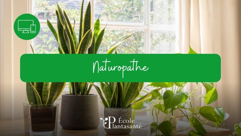 Formation Naturopathe à Distance