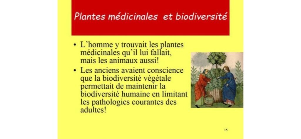 Lire la suite à propos de l’article Petits dialogues sur la biodiversité (Editorial d’avril-mai 2010)