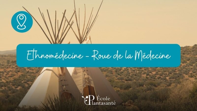 Stage Ethnomédecine – Roue de la Médecine