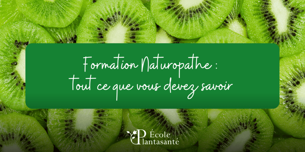 banniere formation naturopathe