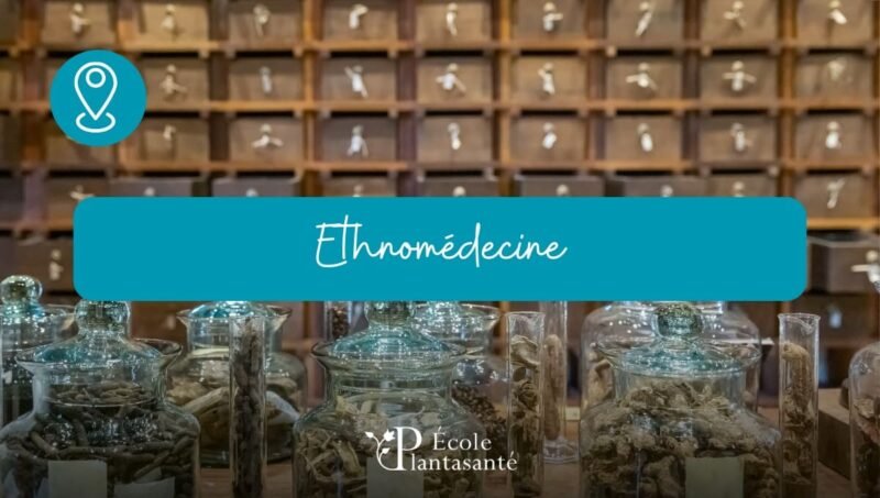 Formation Ethnomédecine