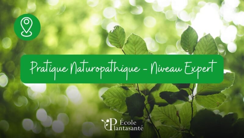 Formation Pratique Naturopathique – Niveau Expert