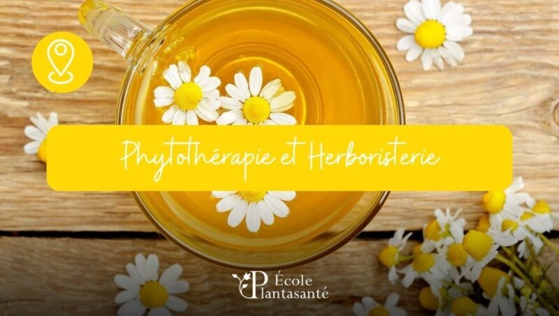 Formation en Phytothérapie en Présentiel