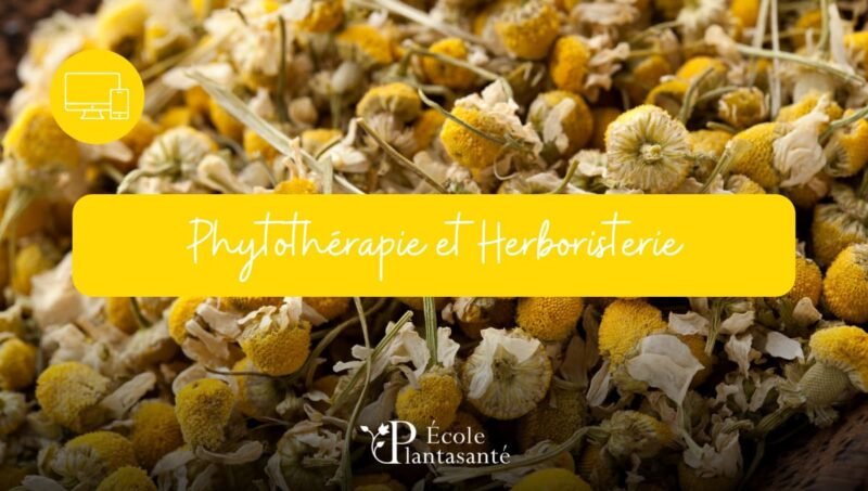 Formation en Phytothérapie à Distance